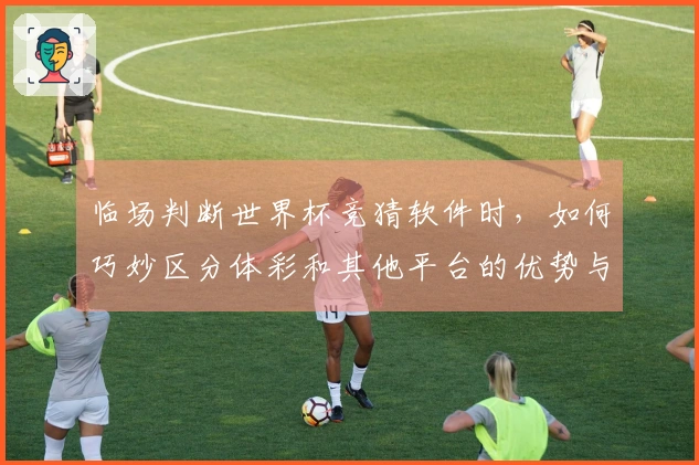 临场判断世界杯竞猜软件时,如何巧妙区分体彩和其他平台的优势与劣势