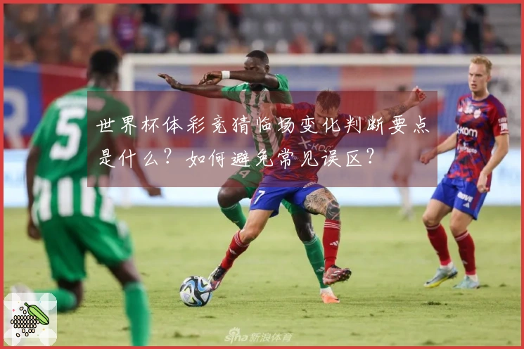 世界杯体彩竞猜临场变化判断要点是什么?如何避免常见误区?